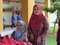 Tn 231 DSC 1092